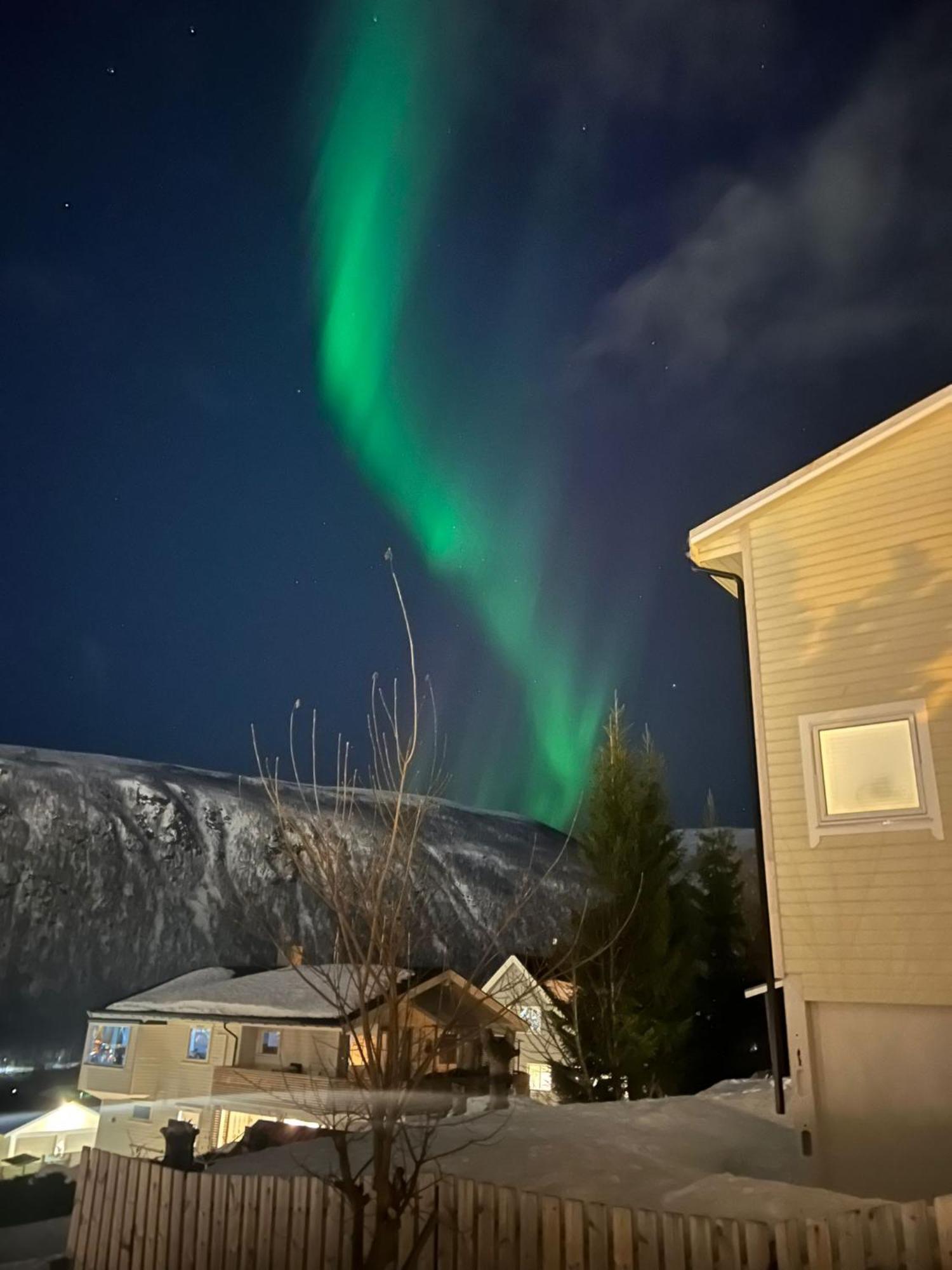 Tromso Arctic Villa With Free Parking エクステリア 写真