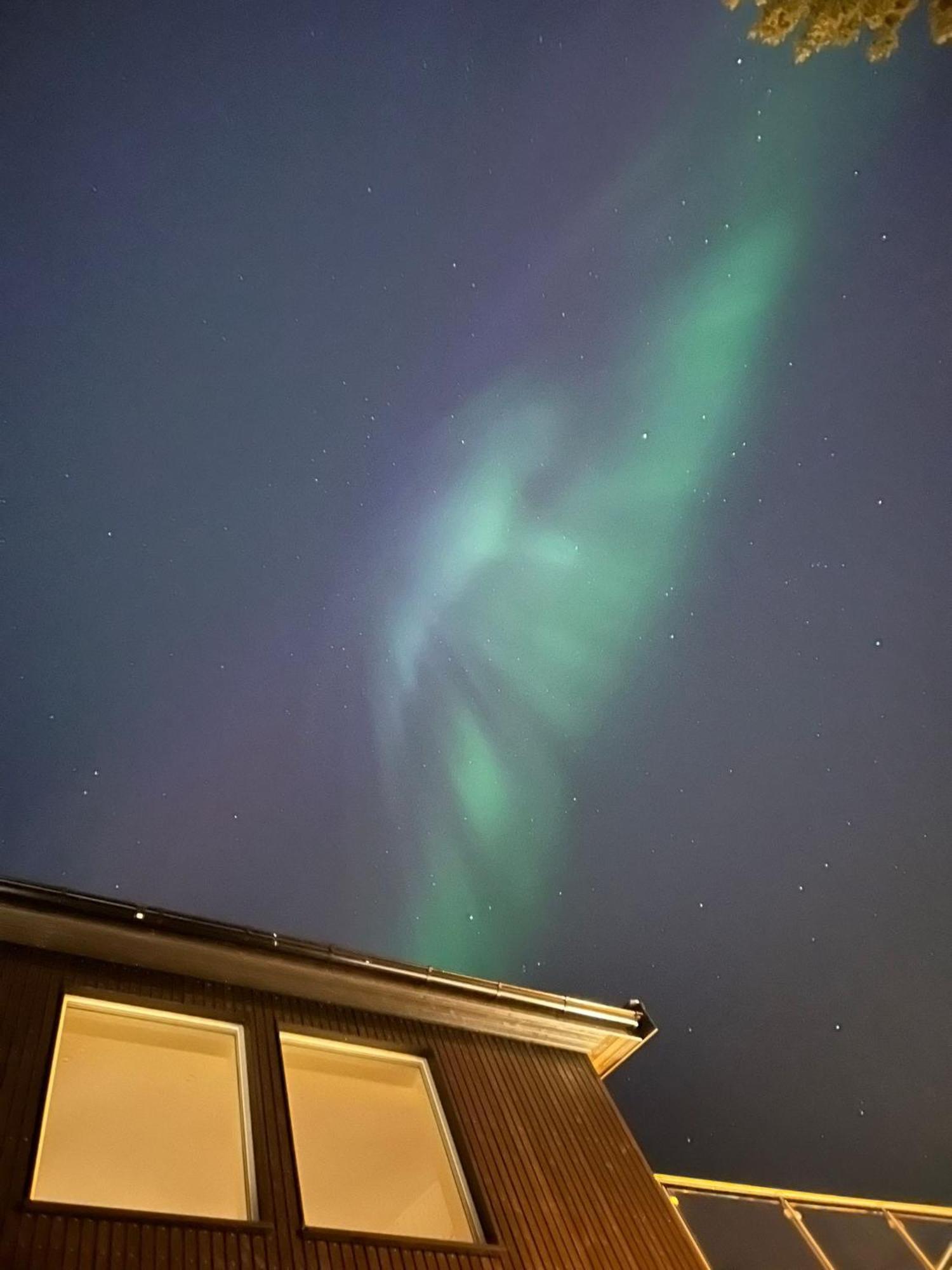 Tromso Arctic Villa With Free Parking エクステリア 写真