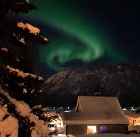 Tromso Arctic Villa With Free Parking エクステリア 写真