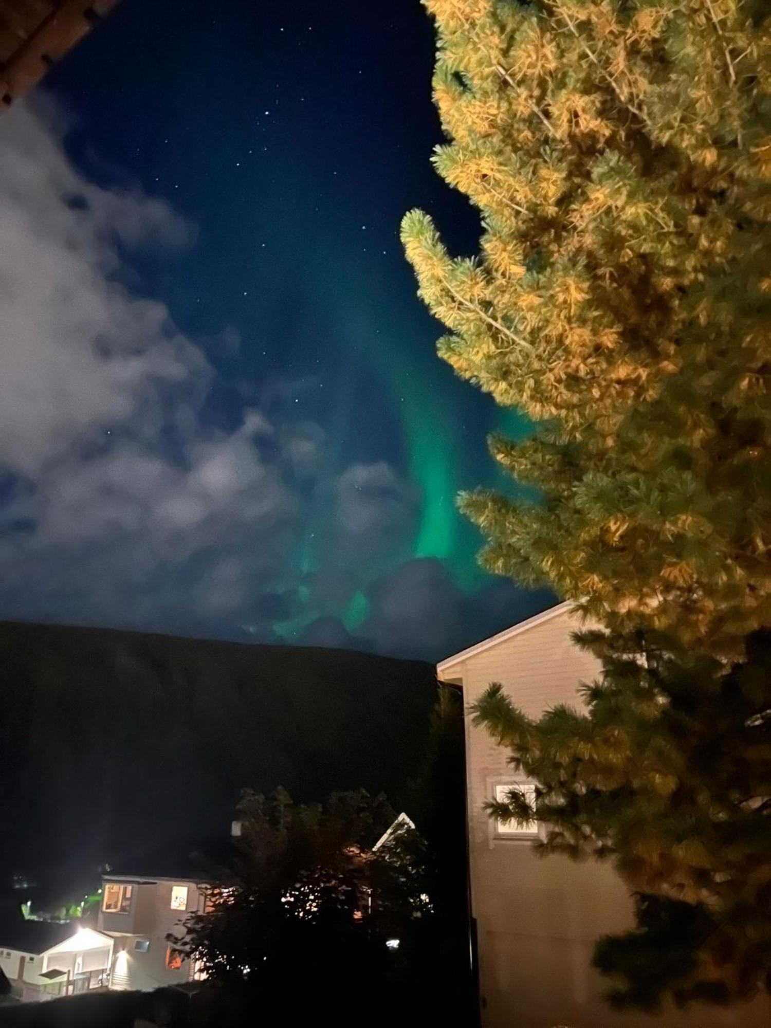 Tromso Arctic Villa With Free Parking エクステリア 写真